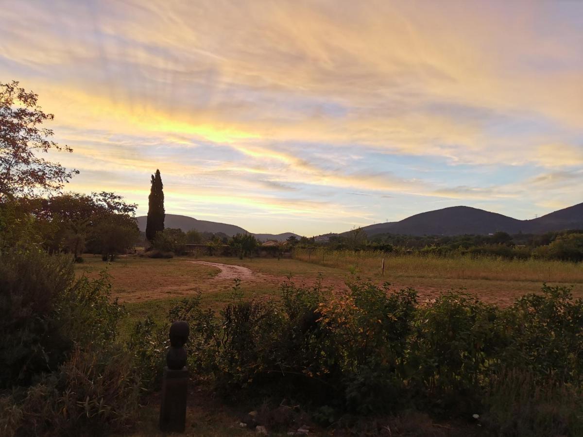 Le Clos De La Chardonniere Saulce-sur-Rhône Dış mekan fotoğraf