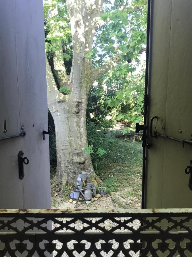 Le Clos De La Chardonniere Saulce-sur-Rhône Dış mekan fotoğraf